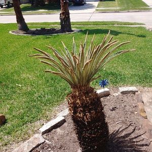 Meet your Posher, Max